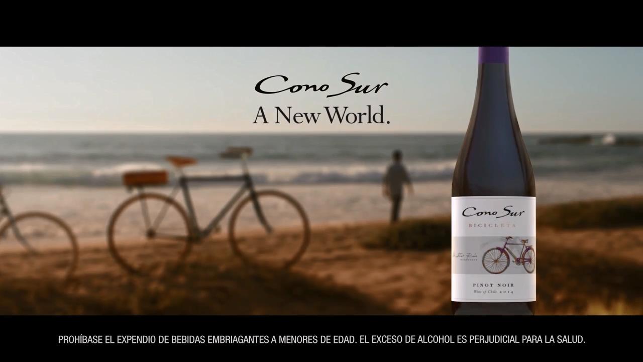 Sponsor-Cono Sur