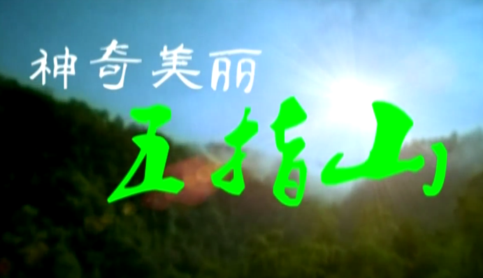 Video of city - wuzhishan